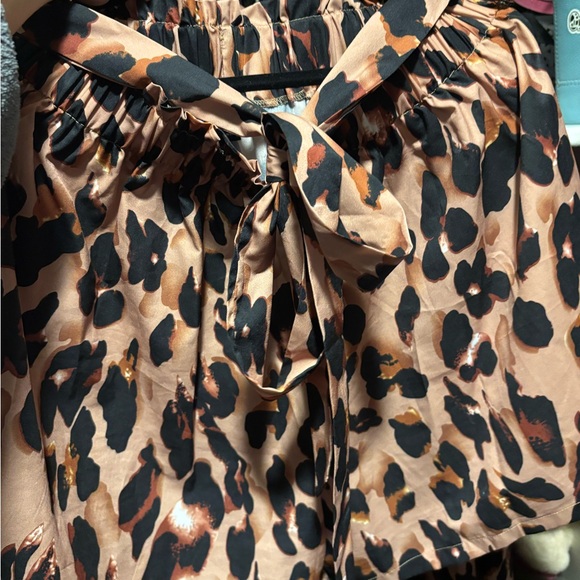 Leopard Print Jacket and Short Set - Picture 6 of 7